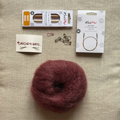 Kit bonnet Boule - Prune Tricote